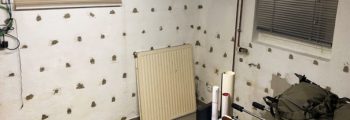 Gonsenheim – Einfamilienhaus mit Keller